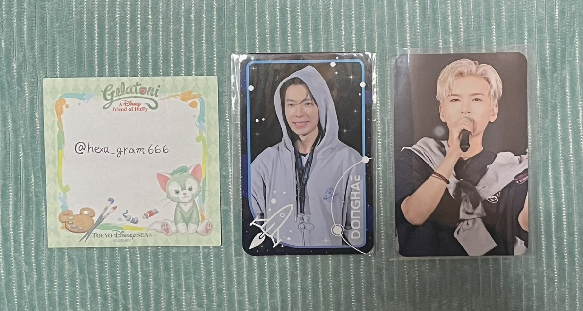 🐾よもり🐾 tweet media