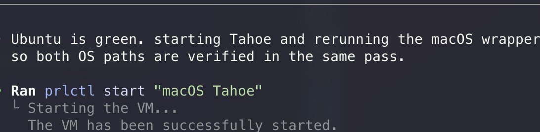 Peter Steinberger 🦞 tweet media