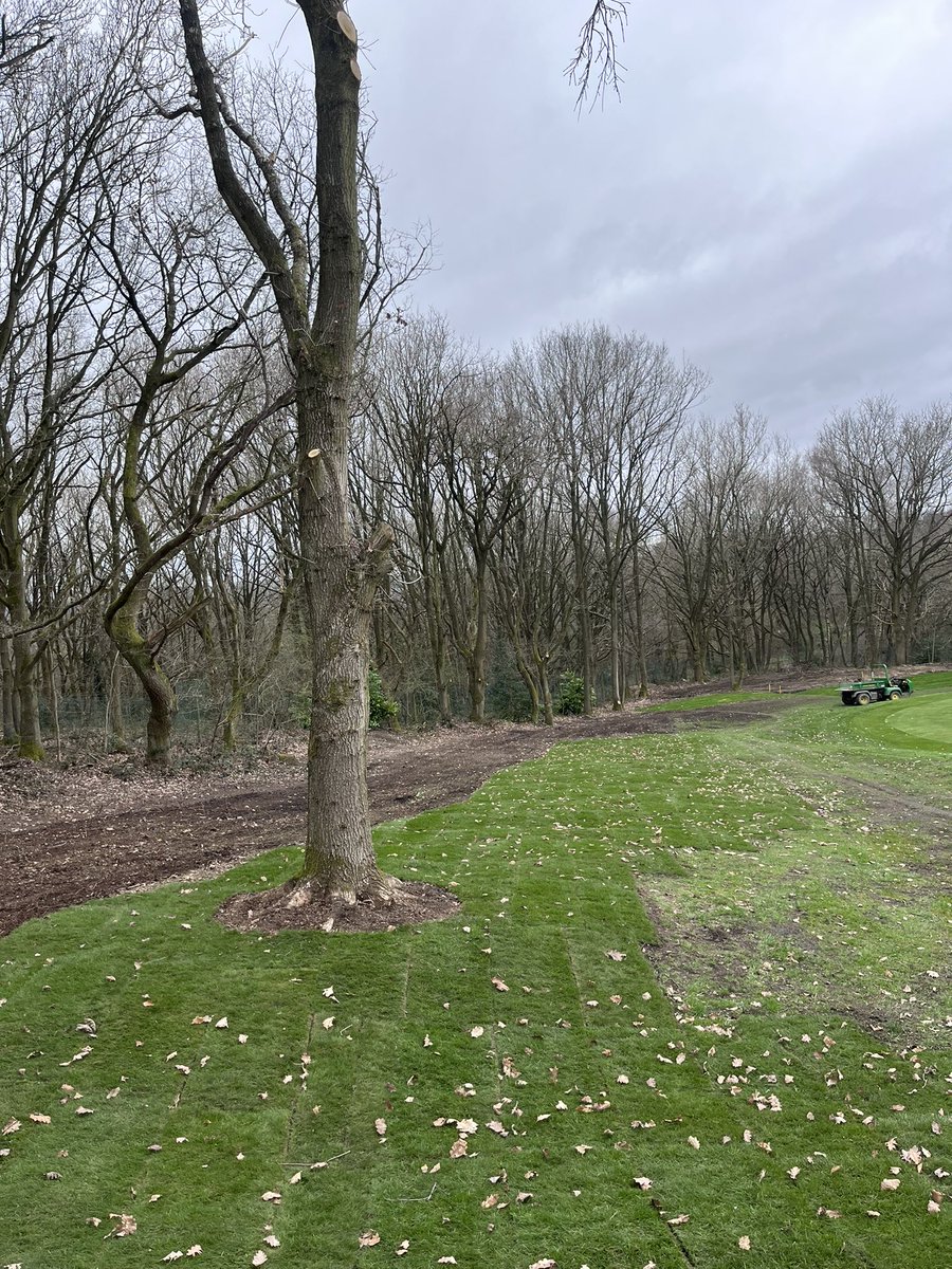 Ryan Fiander tweet media