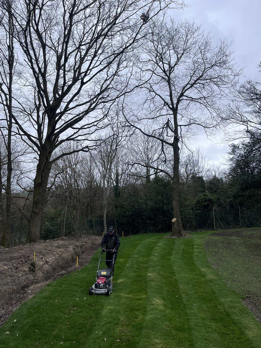 Ryan Fiander tweet media