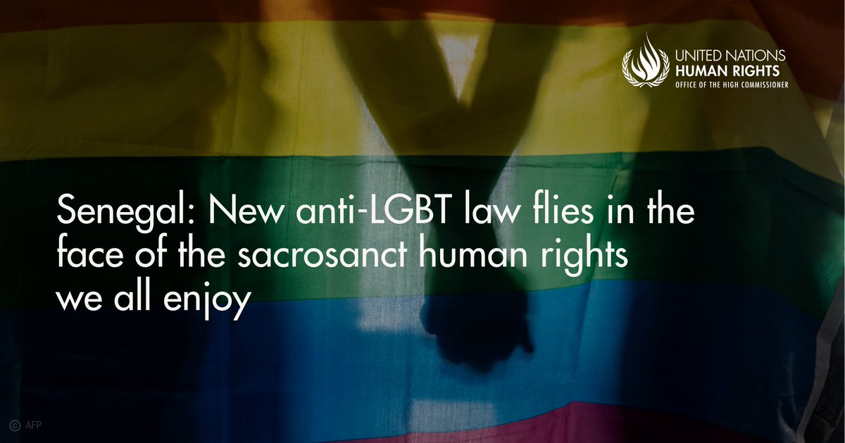 UN Human Rights tweet media