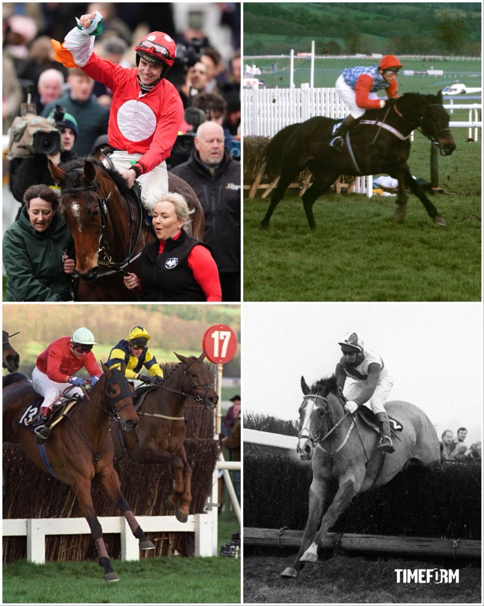 Timeform tweet media