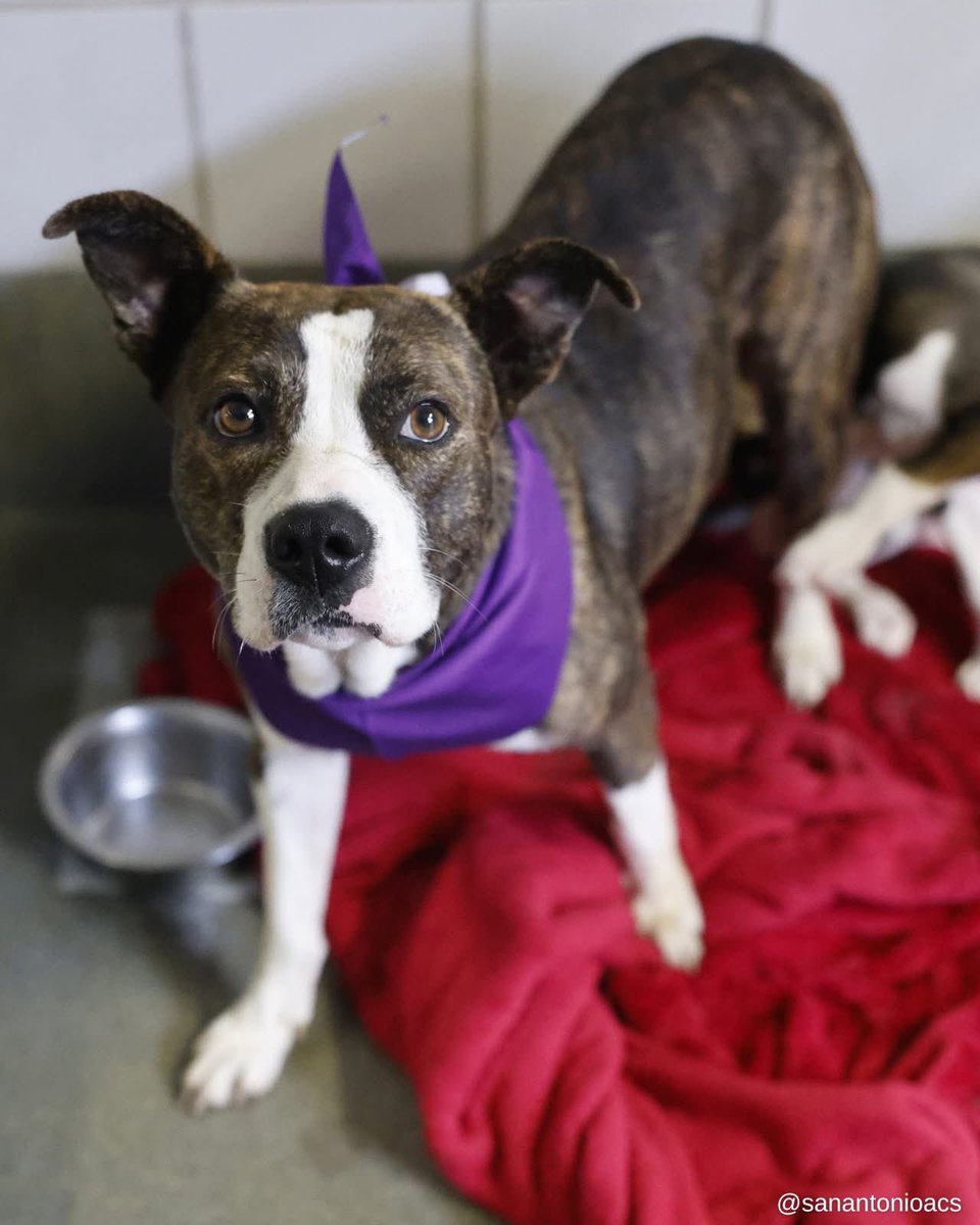 Aurora ⸆⸉ misses Liam ❯❯❯❯ tweet media