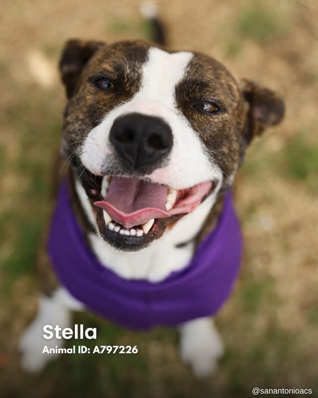 Aurora ⸆⸉ misses Liam ❯❯❯❯ tweet media