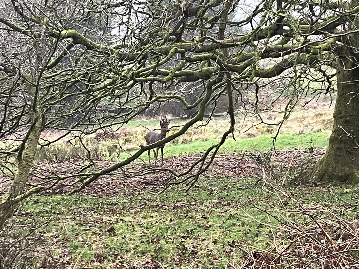 DuncanTweedsThomas tweet media