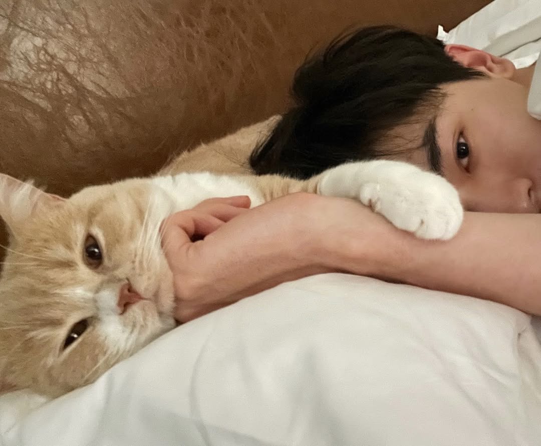 I thought I was going to get some proper rest tonight, but my cat had other plans. He took the pillow, so now we’re sharing it… and somehow we both ended up staring at the camera like this is completely normal.