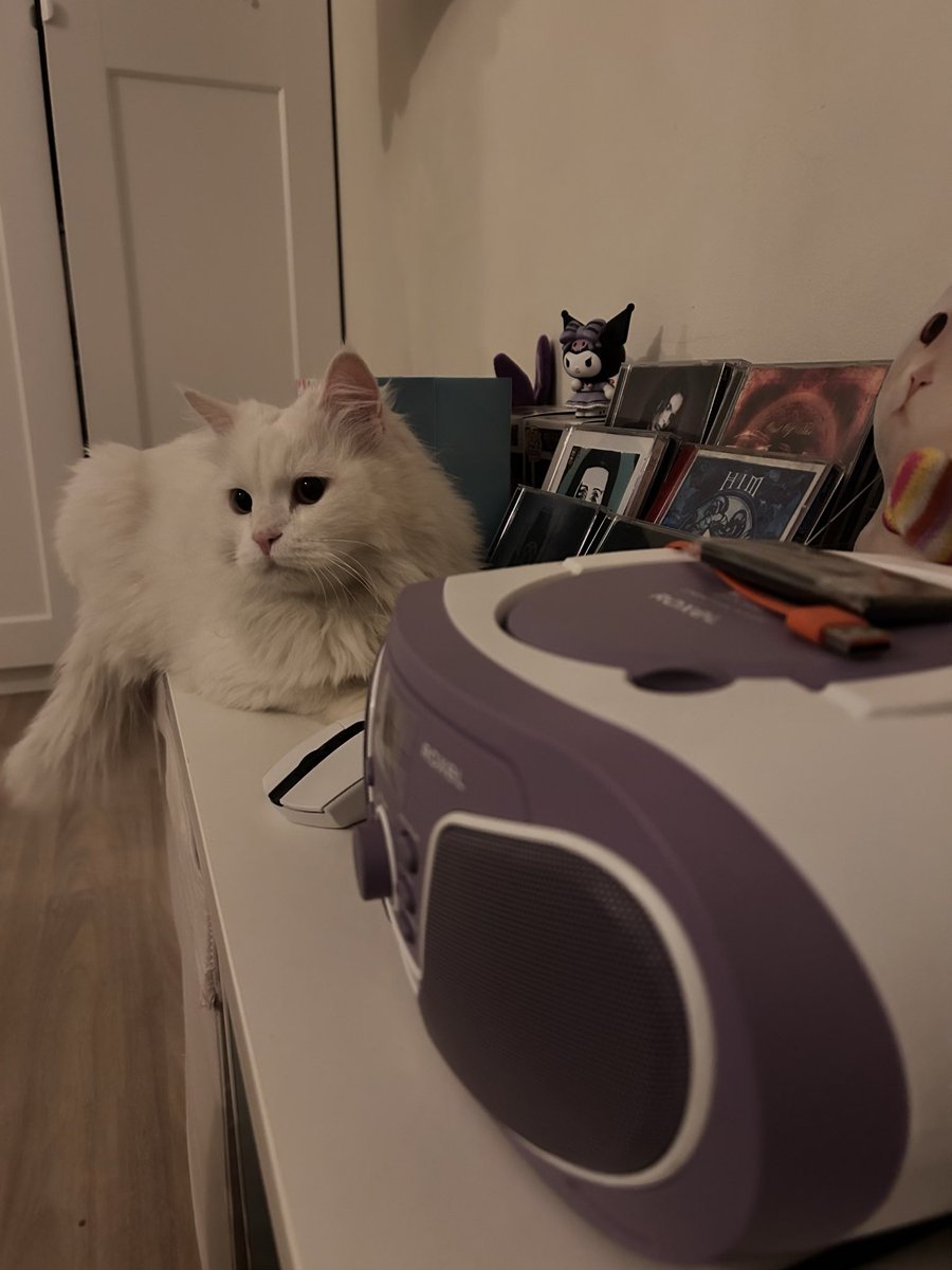 𖤐 Gala | غـ لا tweet media