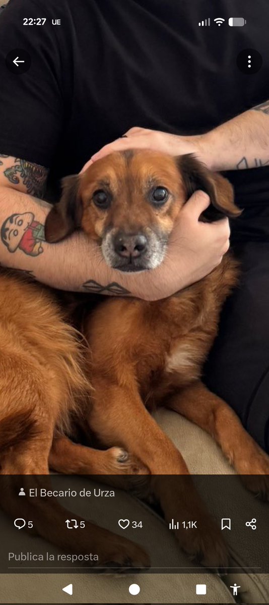 Alex Judge tweet media