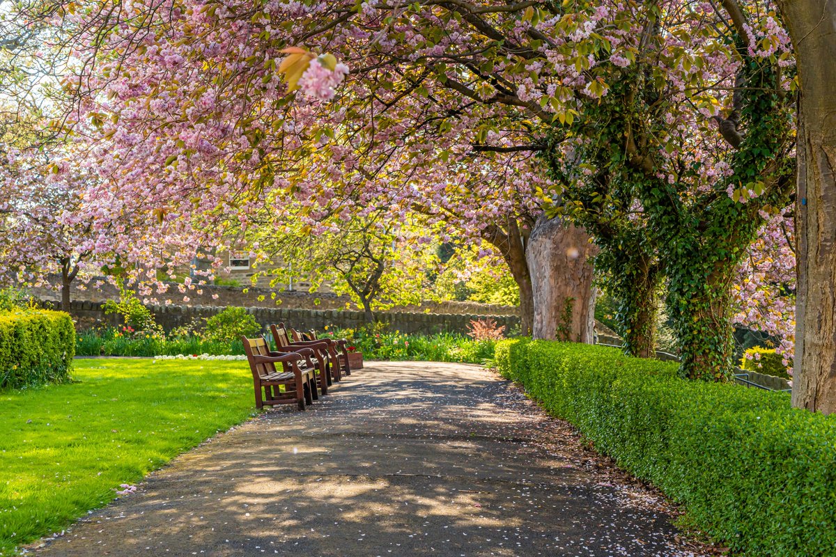 Neilsons Solicitors and Estate Agents tweet media