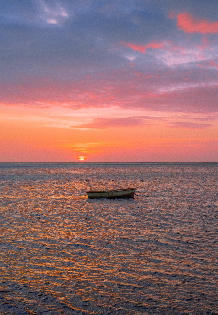 Alex Kittoe tweet media