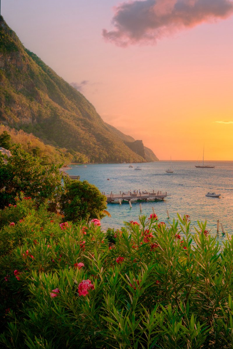 Alex Kittoe tweet media