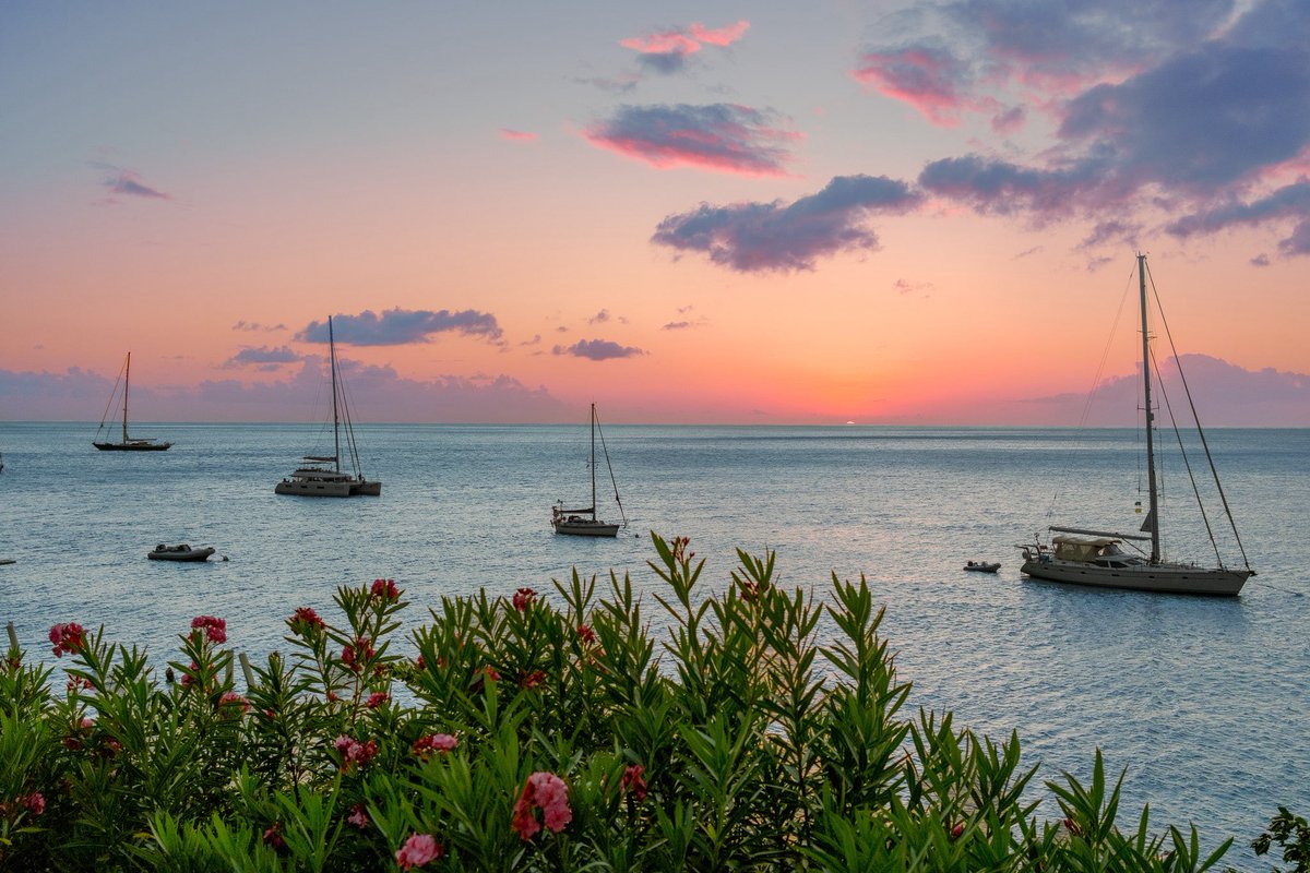 Alex Kittoe tweet media