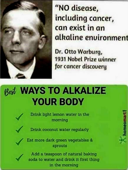 𝐏𝐇𝐎𝐄𝐍𝐈𝐗🐦🔥𝐃𝐑𝐀𝐆𝐎𝐍 tweet media