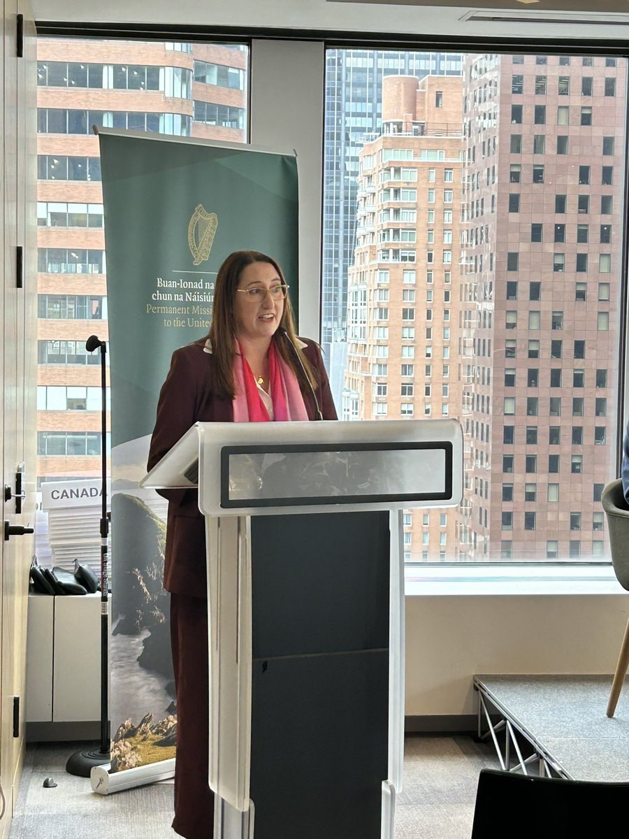 Ireland at UN tweet media