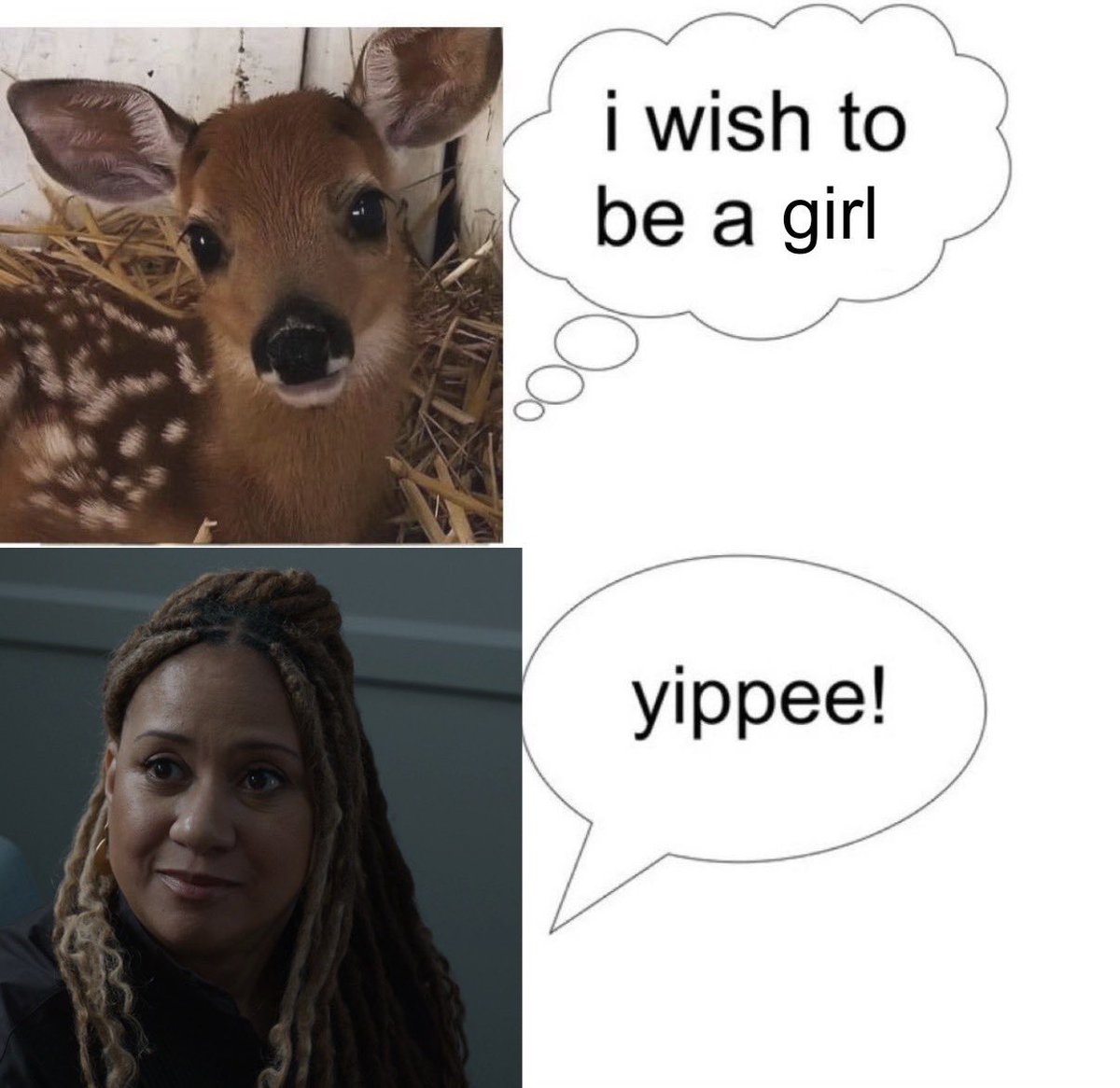 lilybug (man hating lesbian) tweet media