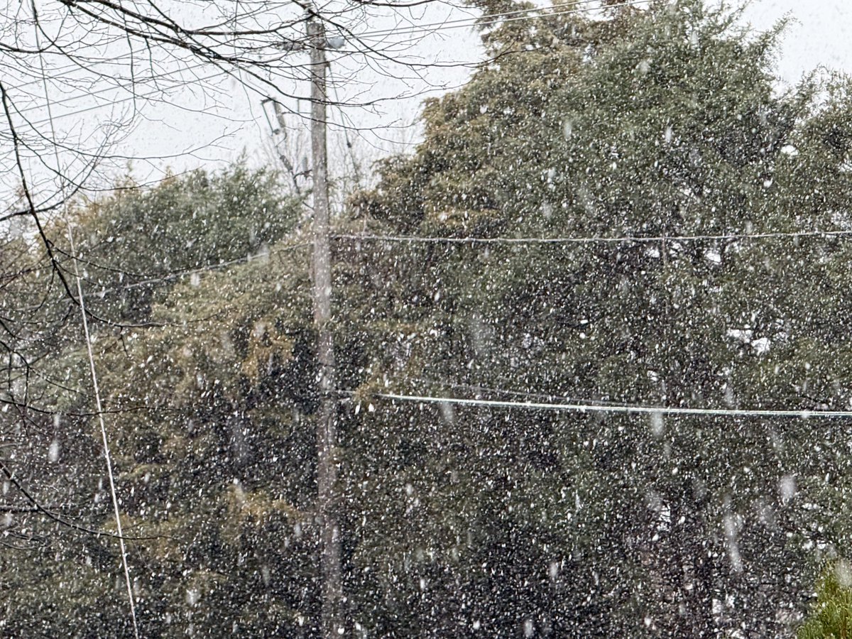 Arlington Now tweet media