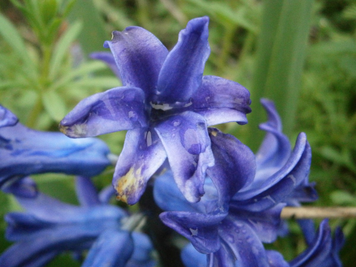 🥷Ninja boy🥷 🍃💚🍃 tweet media