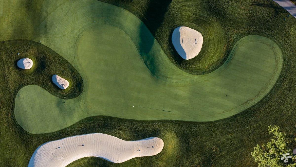 Fried Egg Golf tweet media