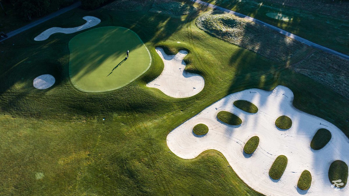 Fried Egg Golf tweet media