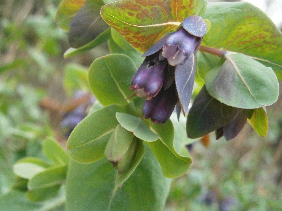 🥷Ninja boy🥷 🍃💚🍃 tweet media