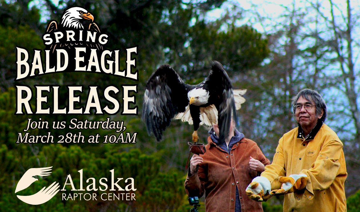 Alaska Raptor Center tweet media