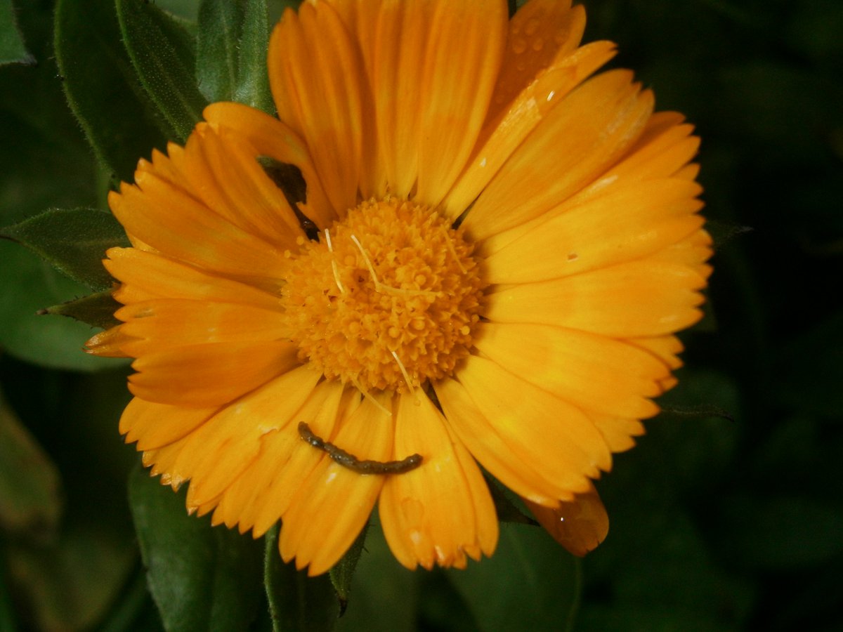 🥷Ninja boy🥷 🍃💚🍃 tweet media