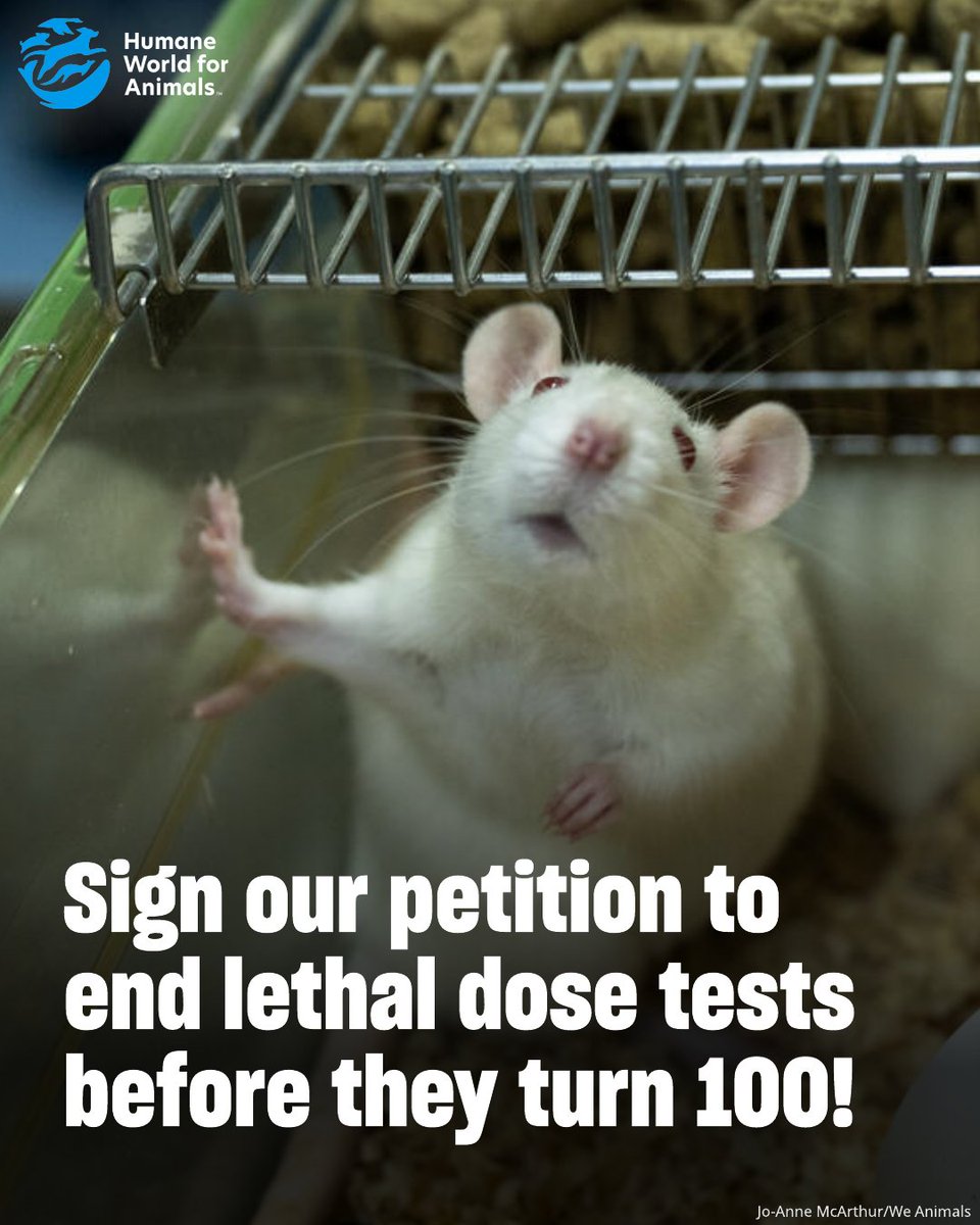 Humane World for Animals Europe tweet media