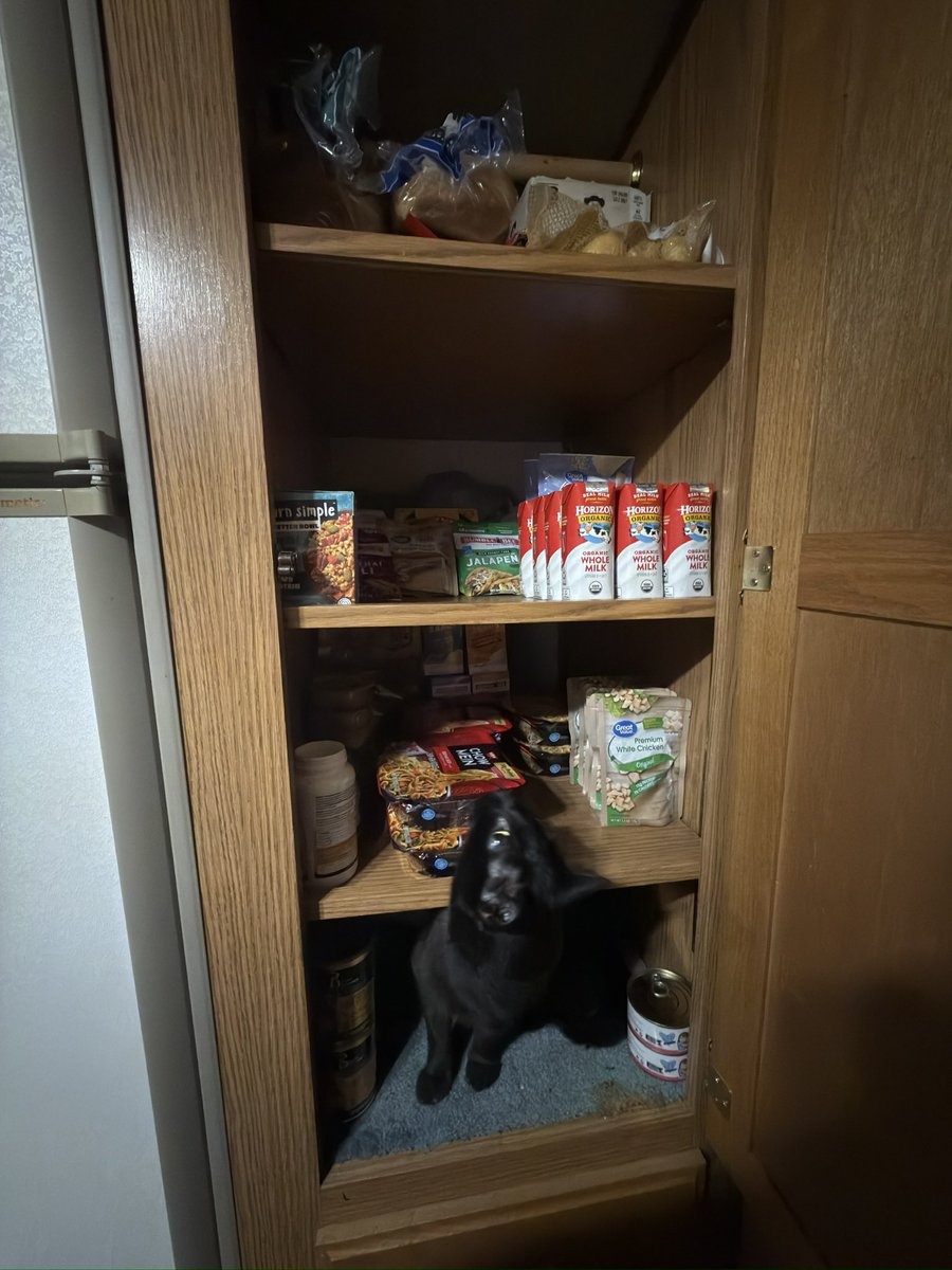 DonEDavie tweet media