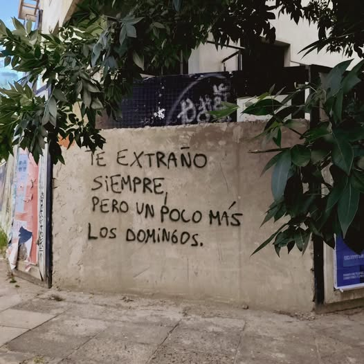 MANDANGA CON V DE VENGANZA tweet media