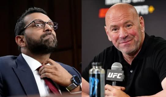 Occupy Democrats tweet media