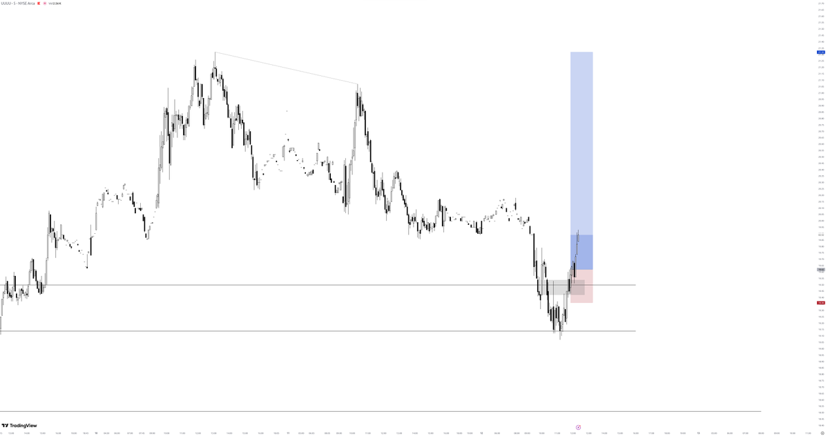 mirhanfx tweet media