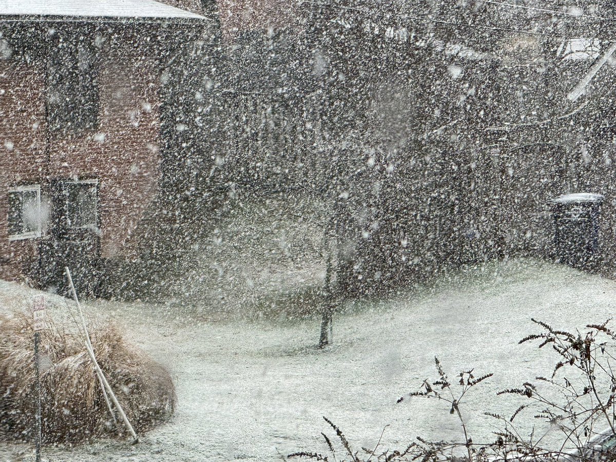 TommyHornWX1's tweet photo. Ground is white in Fairfax! 24 hours ago it was 87F 😂 
@capitalweather @MatthewCappucci @ryankanerWX @JustinWeather @dougkammerer https://t.co/uINzVfBTsK