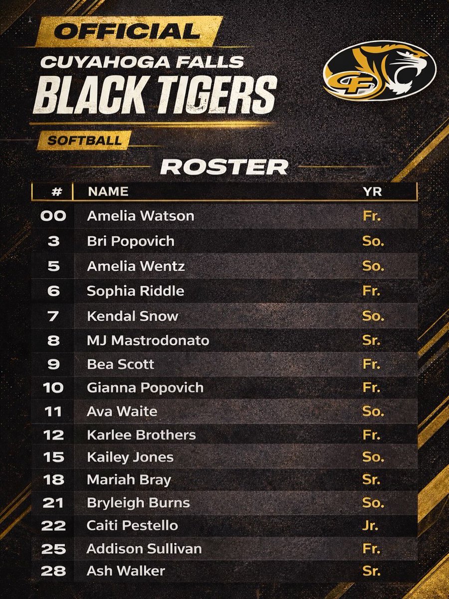 CFHS Softball 🥎🐯 tweet media