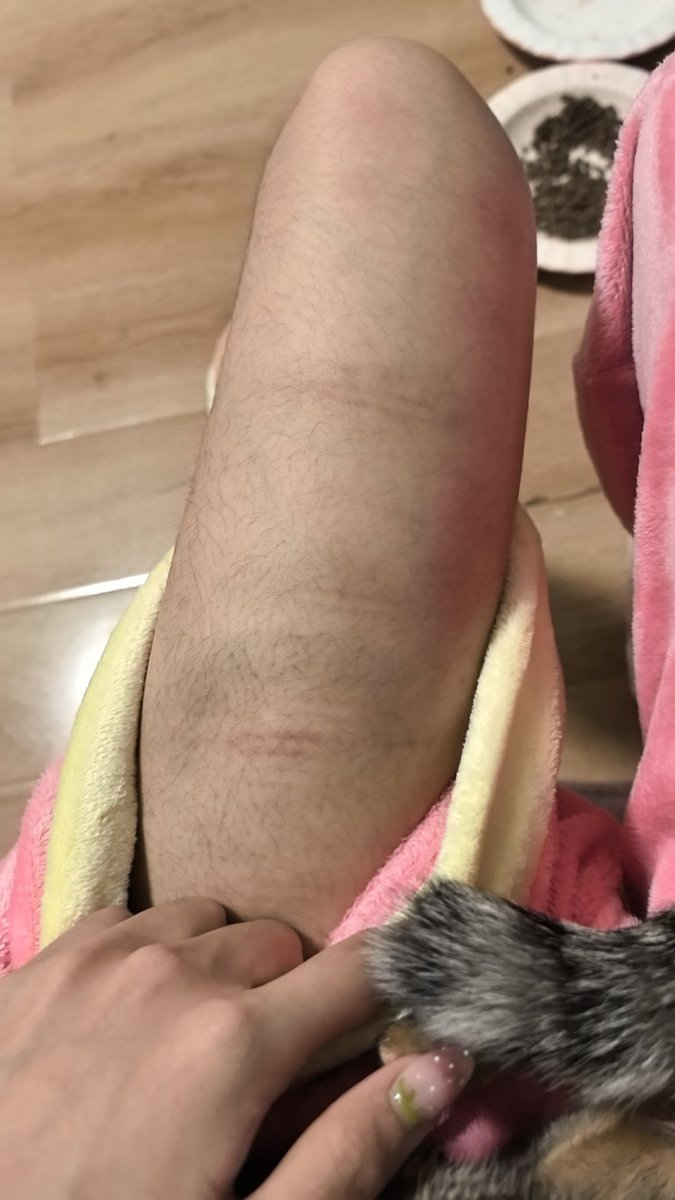 小鸡丸 tweet media