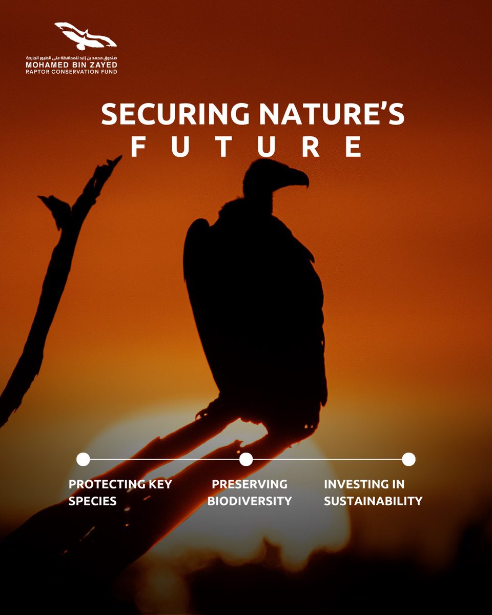 RaptorConservationFund tweet media