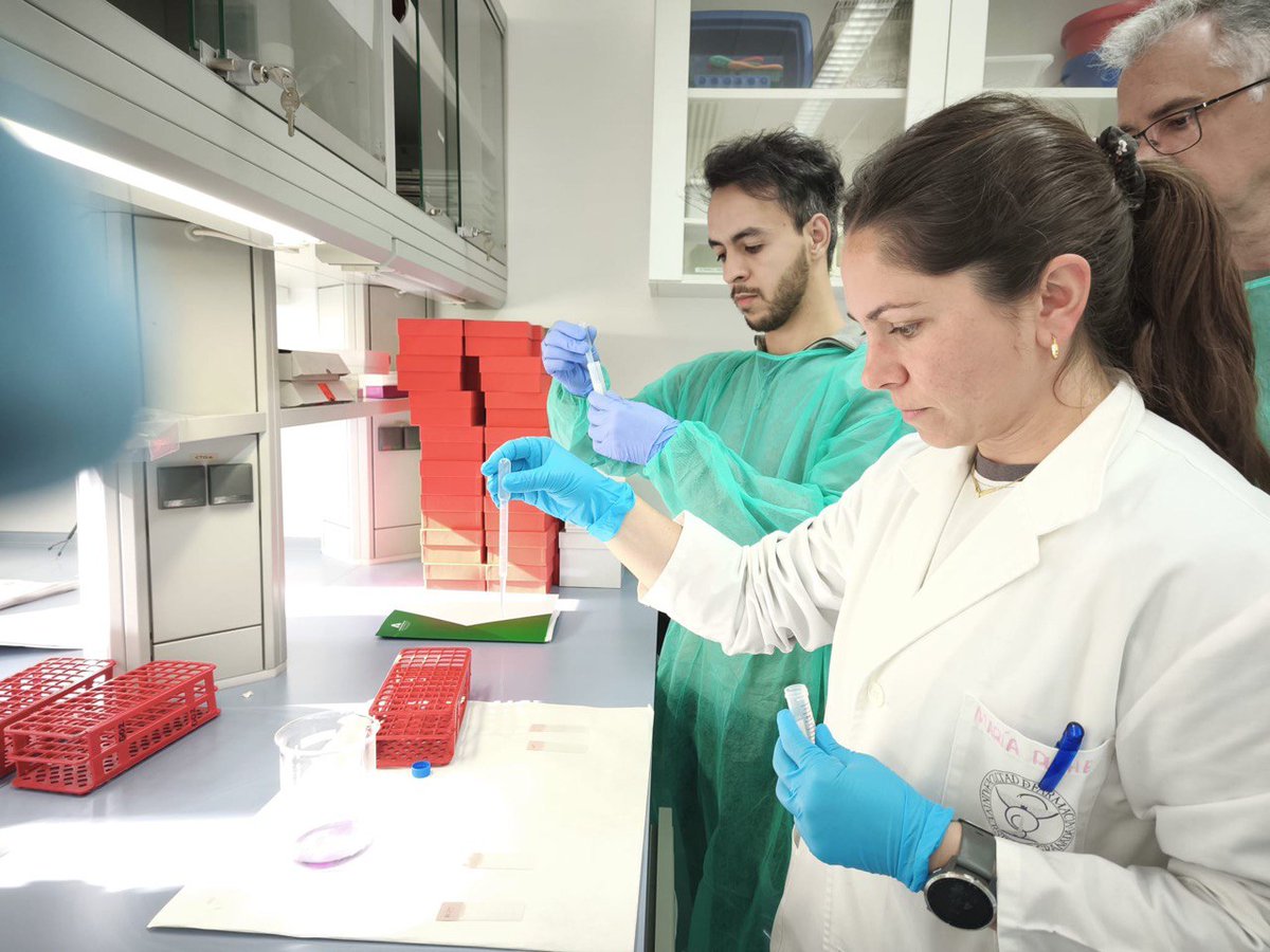 Biobanco del SSPA tweet media