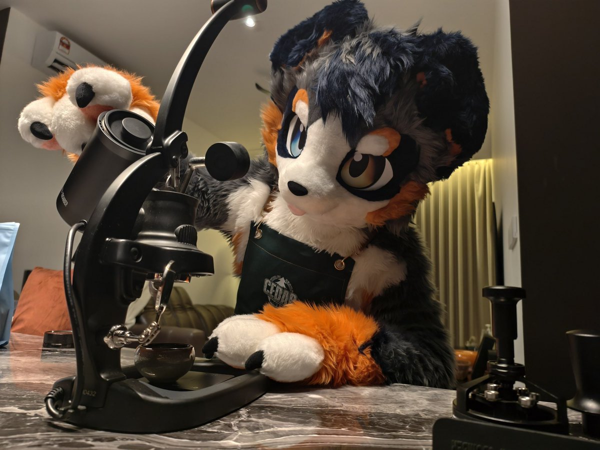 Dapiko1's tweet photo. Apparently kopi luwak is made from beans that get eaten and pooped out.

So if I'm the one making the coffee…
do I have to eat the beans first?

猫屎咖啡是猫吃了再拉出来的。

那我要做咖啡的话，
是不是要先吃咖啡豆……？

📸 Alvin Sia
🪡 @furmony 
#FursuitFriday #Furry https://t.co/mxa5B5eShK