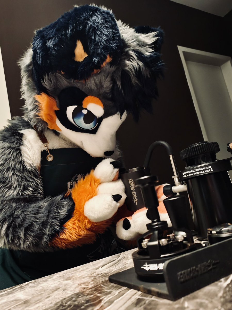 Dapiko1's tweet photo. Apparently kopi luwak is made from beans that get eaten and pooped out.

So if I'm the one making the coffee…
do I have to eat the beans first?

猫屎咖啡是猫吃了再拉出来的。

那我要做咖啡的话，
是不是要先吃咖啡豆……？

📸 Alvin Sia
🪡 @furmony 
#FursuitFriday #Furry https://t.co/mxa5B5eShK