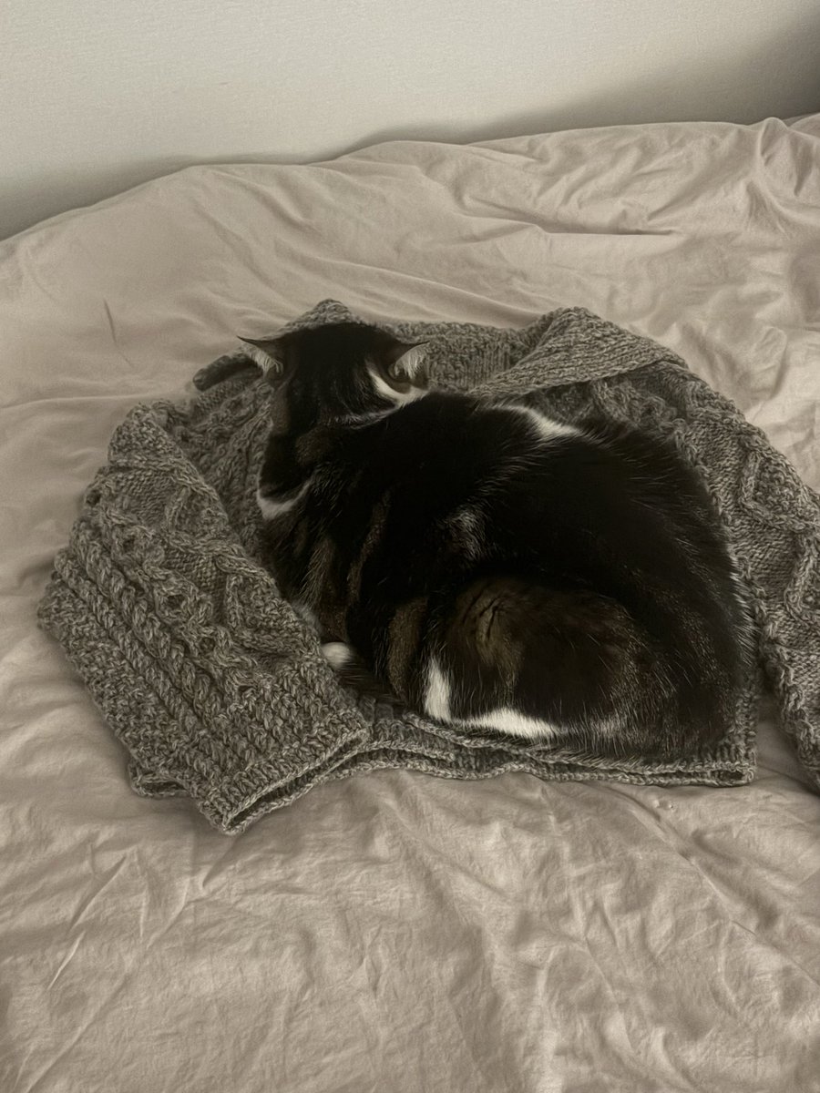 ๋ด๋ผ๐งถ tweet media