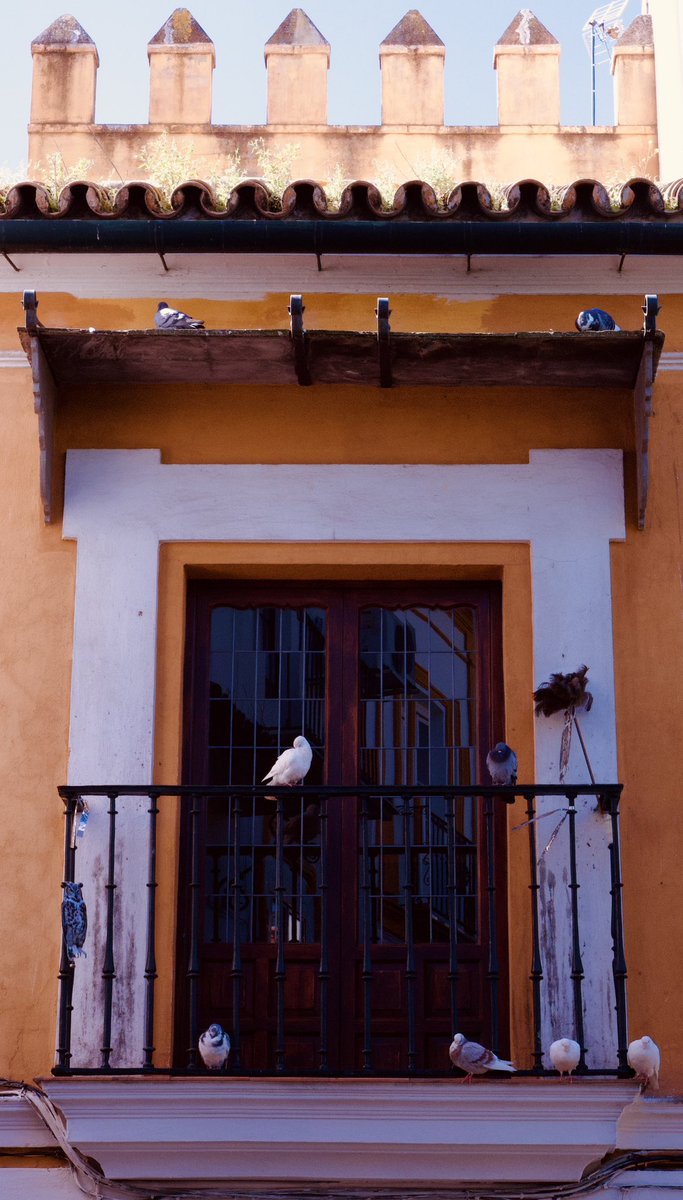 Andres Cobos Rodríguez (@andrescoboscof) on Twitter photo 