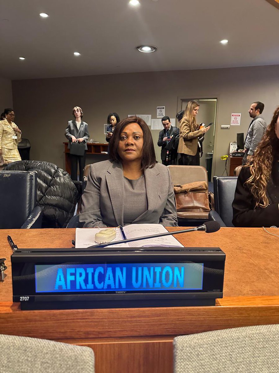 African Union Mission to the USA tweet media