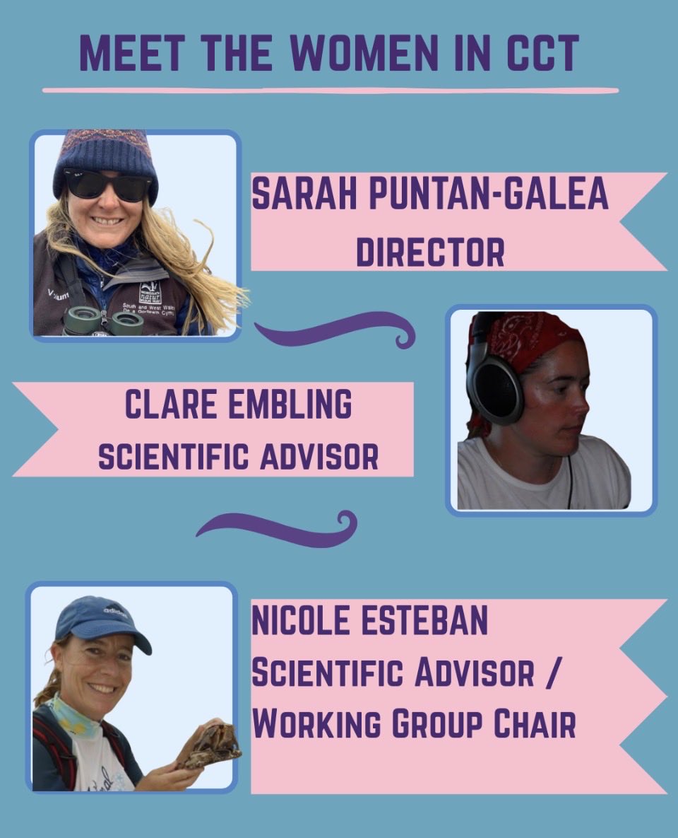 Chagos Conservation Trust tweet media