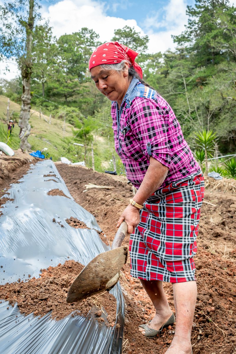 World Vision Honduras tweet media