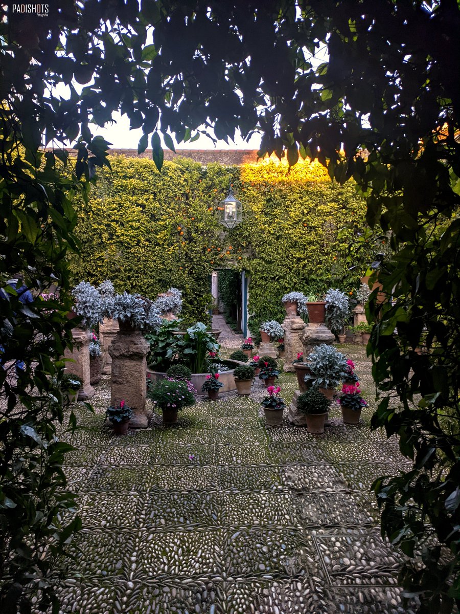 padishots's tweet photo. 📍🇪🇸 Palacio de Viana, Córdoba, Andalucía

Imágenes tomadas durante un paseo por los históricos jardines del Palacio de Viana, el cual te muestra al instante la belleza de los rincones de Córdoba y su gente.

(1/2) https://t.co/fCeHARSaXM