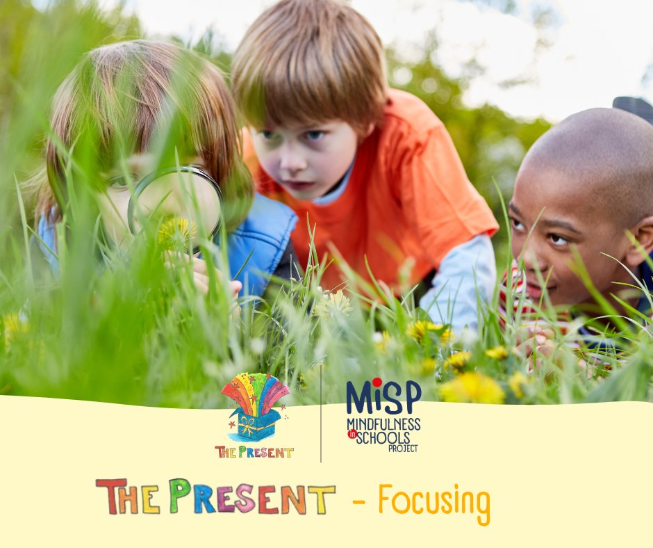 MiSPcharity's tweet photo. The Present practice invitation - from the theme Focusing -
Switching Senses 
The children choose one object for the focus of the practice e.g. pinecone, leaf, stone, dried fruit. Invite them to explore the object using just one sense e.g. touch. 
https://t.co/e954GE6jOU https://t.co/HJ5OE7nK6O