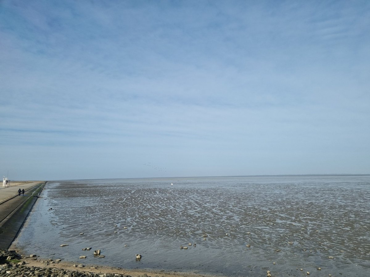rambo_tulle's tweet photo. Moin,
Waren wieder #Meerluft schnuppern 🥰
Da hinten irgendwo ist #Wangerooge 🥰
War schön, tat der Seele gut 🥰 https://t.co/13dZcdE9VD