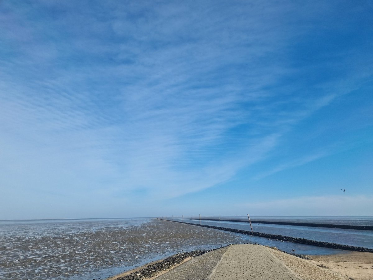 rambo_tulle's tweet photo. Moin,
Waren wieder #Meerluft schnuppern 🥰
Da hinten irgendwo ist #Wangerooge 🥰
War schön, tat der Seele gut 🥰 https://t.co/13dZcdE9VD