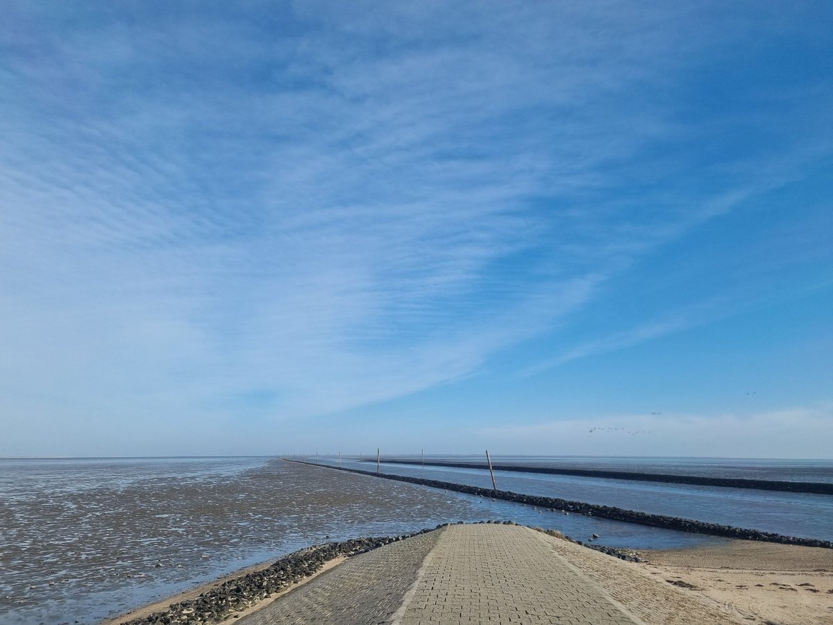 rambo_tulle's tweet photo. Moin,
Waren wieder #Meerluft schnuppern 🥰
Da hinten irgendwo ist #Wangerooge 🥰
War schön, tat der Seele gut 🥰 https://t.co/13dZcdE9VD