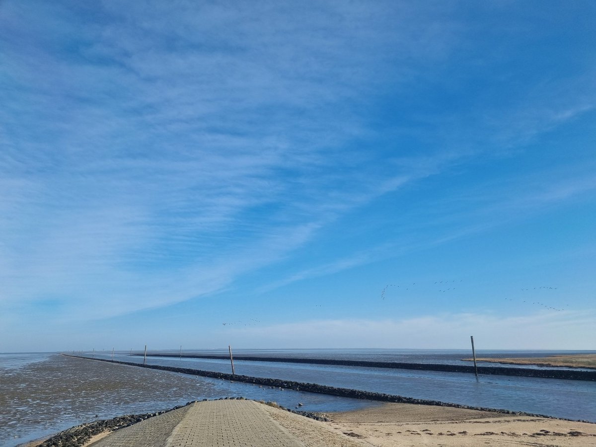 rambo_tulle's tweet photo. Moin,
Waren wieder #Meerluft schnuppern 🥰
Da hinten irgendwo ist #Wangerooge 🥰
War schön, tat der Seele gut 🥰 https://t.co/13dZcdE9VD