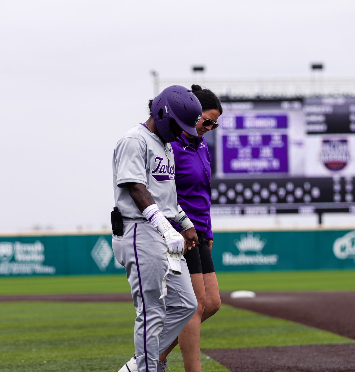 Tarleton State Baseball tweet media